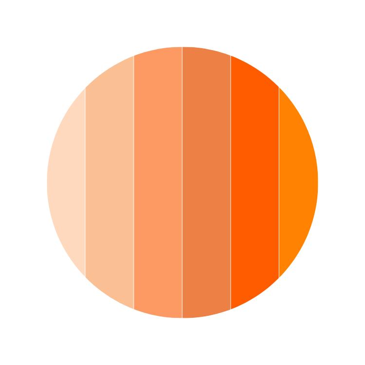 Orange Rugs